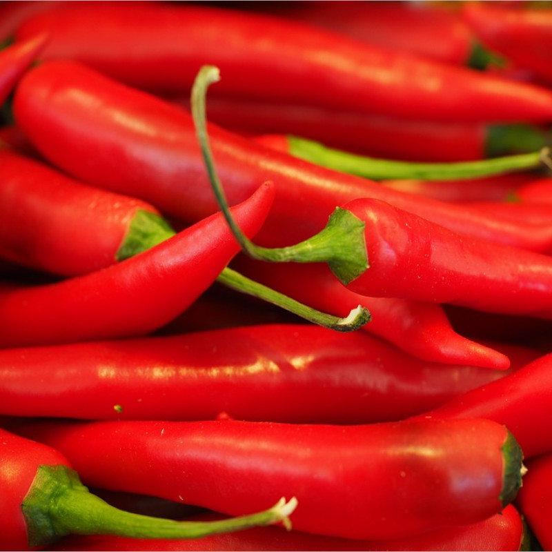 Red Chilli