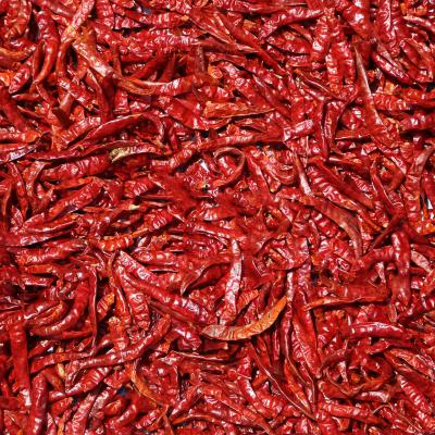 BYADGIE RED CHILLI