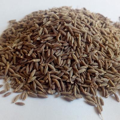 CUMIN SEEDS