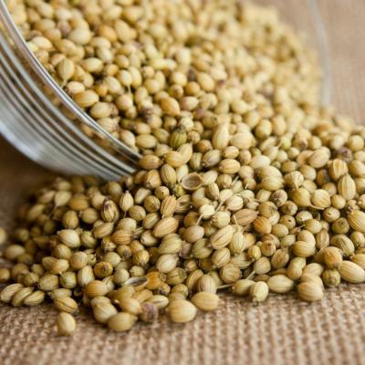 CORIANDER SEEDS