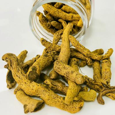 TURMERIC