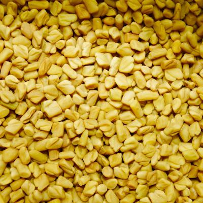 FENUGREEK SEED