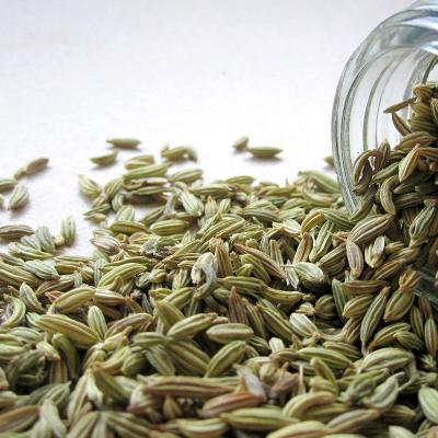 FENNEL SEED